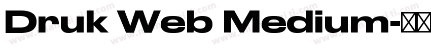 Druk Web Medium字体转换
